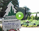 Kokaudzētava Baltezers, arboretum video