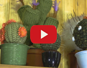 Kaktusu māja video